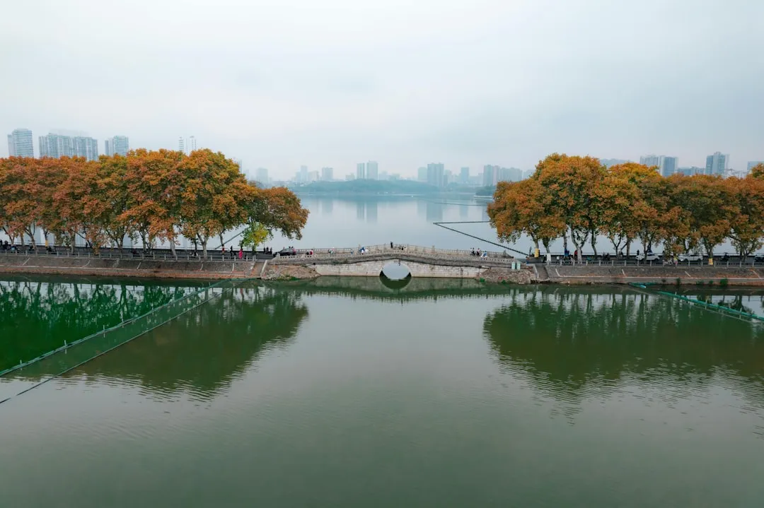 重庆网红美甲私人定制方案：从色系选配到持久度优化