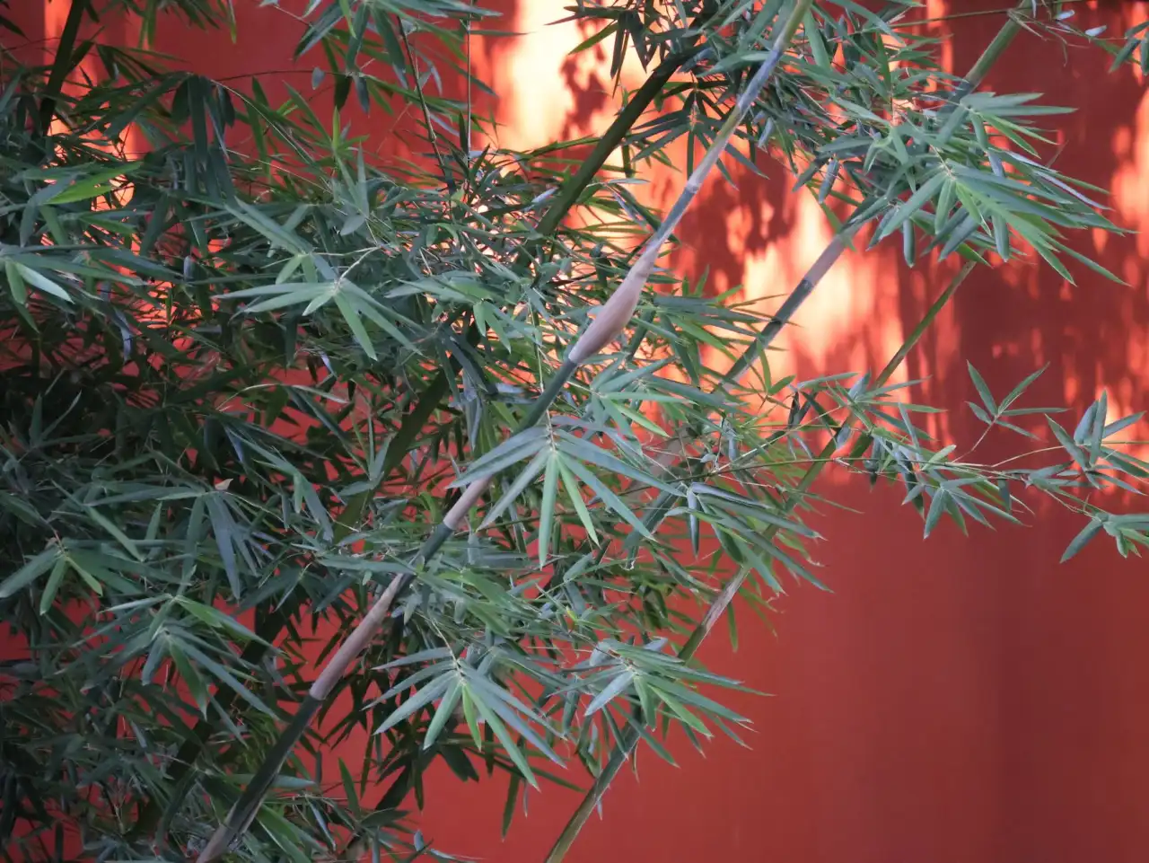 重庆网红美甲私人定制方案：从设计到落地的完整流程解析